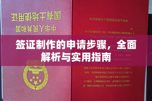 长春签证制作的申请步骤，全面解析与实用指南